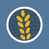 Graindex
