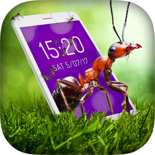 Ant In Phone Prank