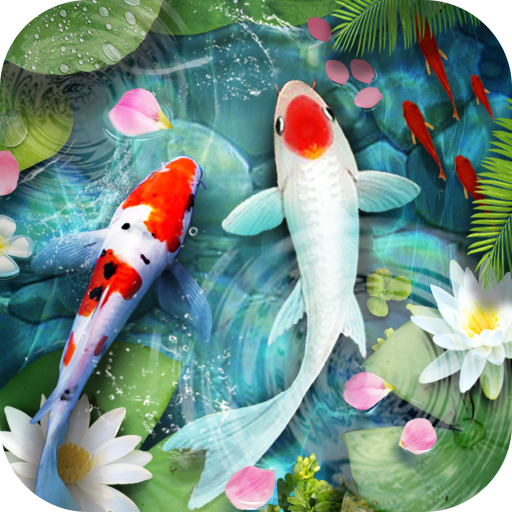 Lively Koi Fish 3D Theme