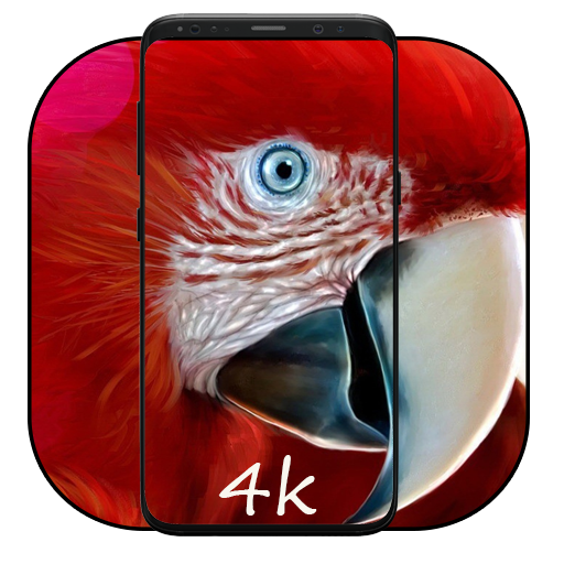 Wallpaper Parrot