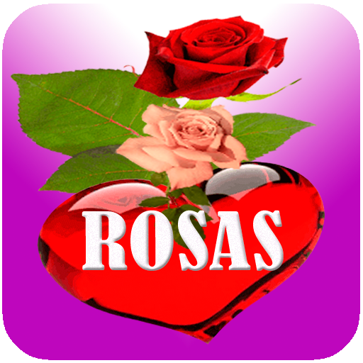 Rosas con Frases de Amor