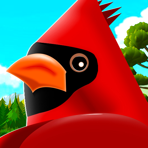 Angry Flying Bird - Adventure