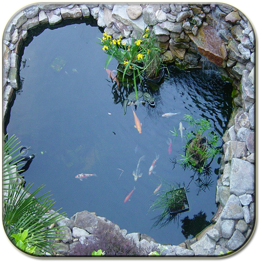 Koi lagoa