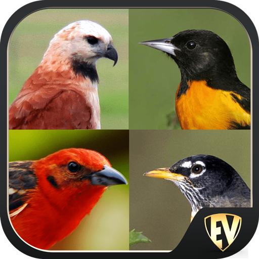 Birds Encyclopedia Offline App