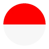 Indonesia VPN Proxy - Safe VPN