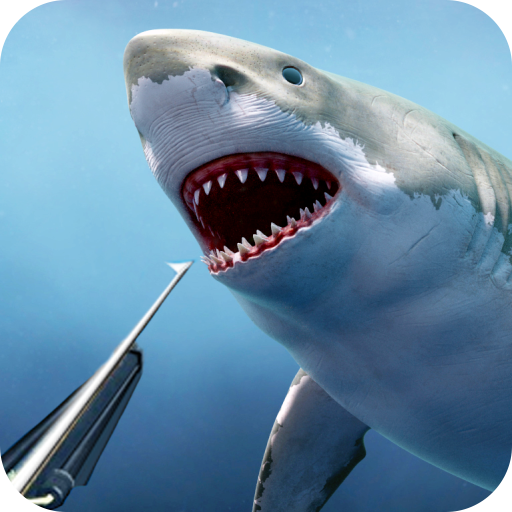 Trò chơi Shark Hunter