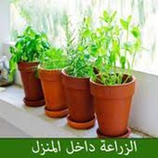 الزراعة في المنزل - بدون نت