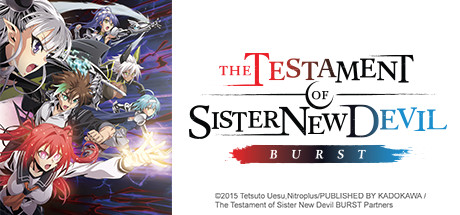 The Testament of Sister New Devil: What I Can Do For You