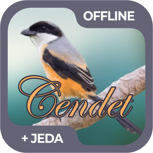 Masteran Burung Cendet Offline