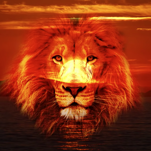photo blender - Blend Pictures