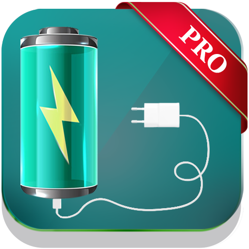 Battery Charger Booster Pro