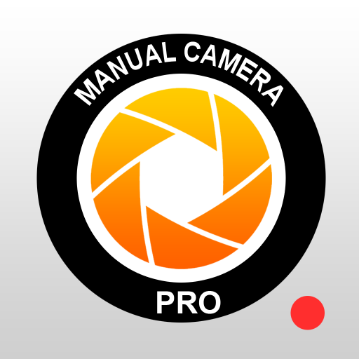 Manual Camera NS1