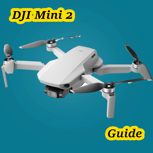 Dji mini 2 pro