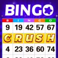 Bingo Crush: Happy Bingo Games