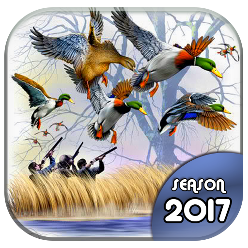 Duck Hunting 3D: Seasons 2017