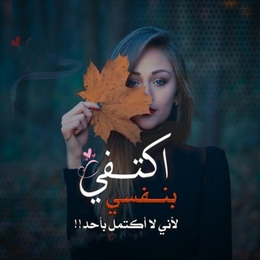 صور ورسائل (جميع الحالات)