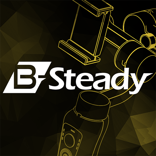 Brica B-STEADY