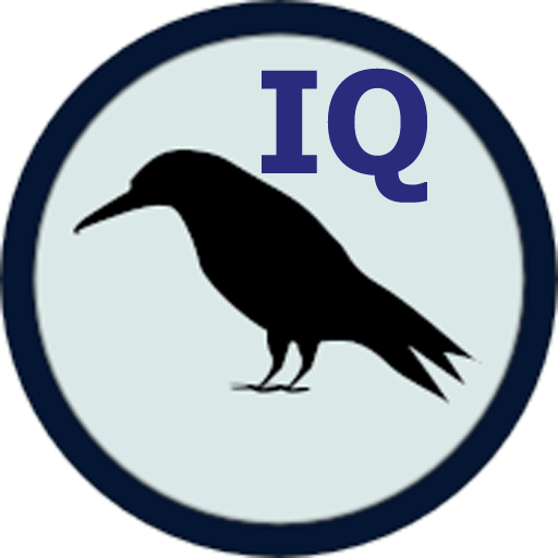 Raven IQ Test