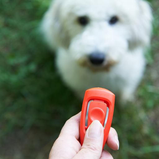 Dog Clicker