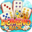 Domino Rich App Guide