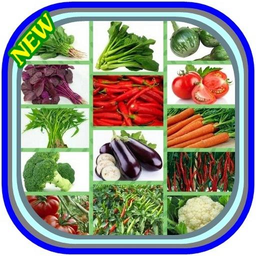 penanaman sayur-sayuran