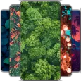 HD Wallpapers - Offline