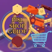 Pi81 Shop Guide