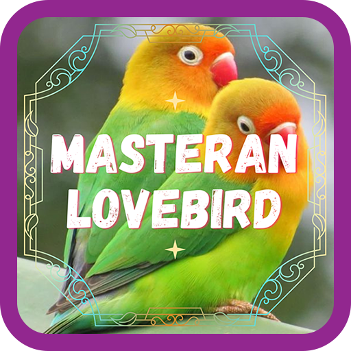 Masteran Lovebird Ngekek