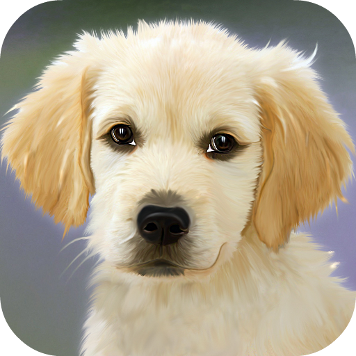 Puppy Wallpapers