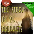 The story of 25 Prophets (Pro)