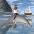permainan pantai lumba-lumba