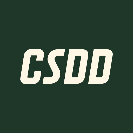 CSDD e-pakalpojumi