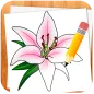 How to Draw Flowers