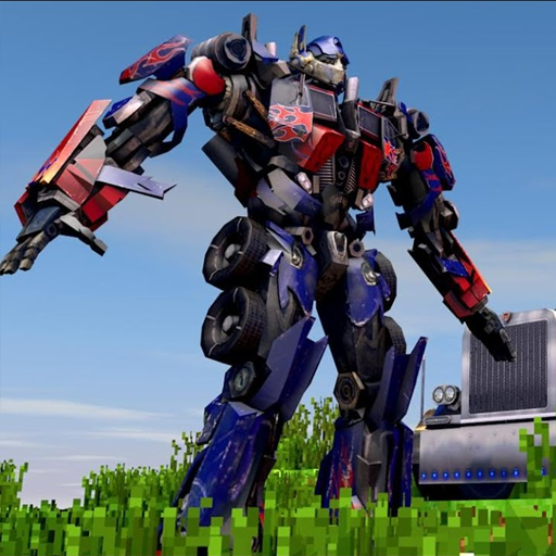 Transformer Skin