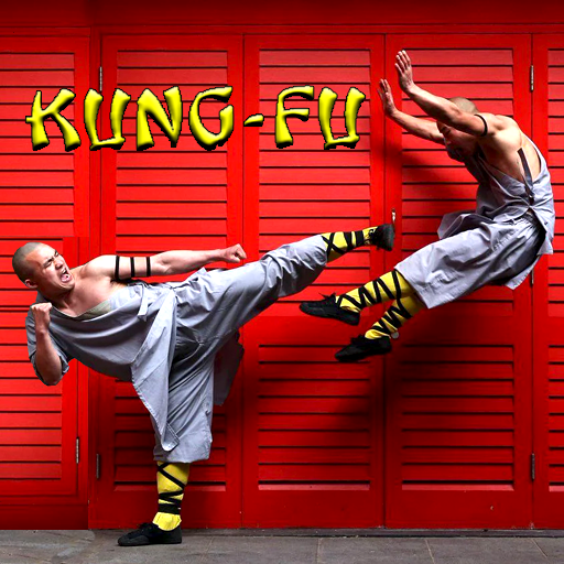 Learn Kung Fu