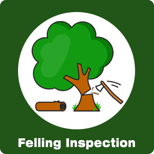 Felling Inspection