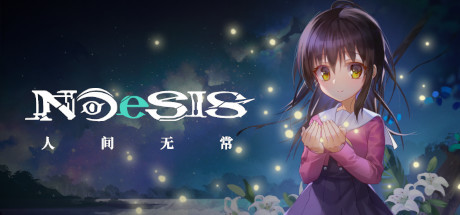 NOeSIS Impermanence Test
