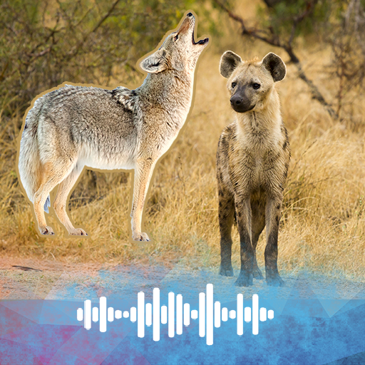 Jackal and Hyena sounds