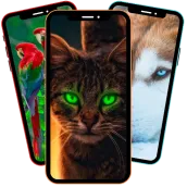 Fondos De Pantalla Animales