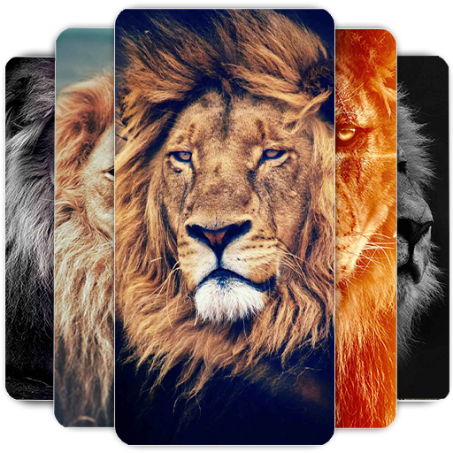 ライオンの壁紙HD
