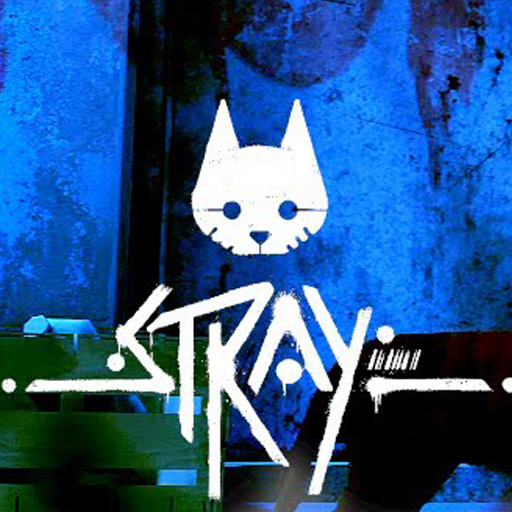 Stray : lost cat