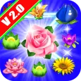 Flowers Sweet Connect – Match