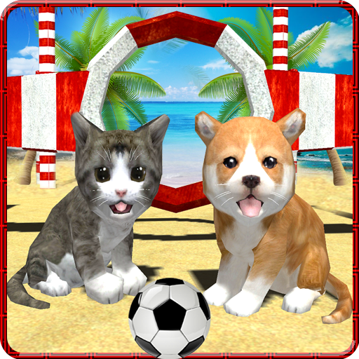 Cat Fun In Crazy Cat Game