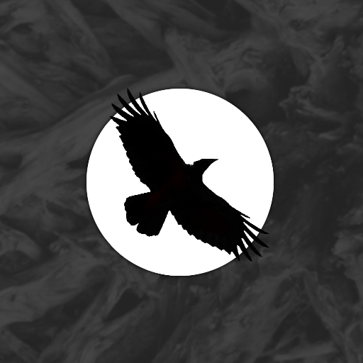 Raven's Rise (Last Tower 1): A