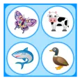 Picture Match - Memory Game