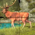Deer Hunt Games-Shooting Games