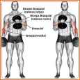 body muscle training