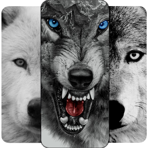 Wolf Wallpaper HD