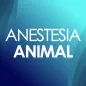 Anestesia Animal