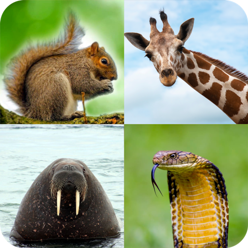 Animal Quiz: Adivinhe o animal